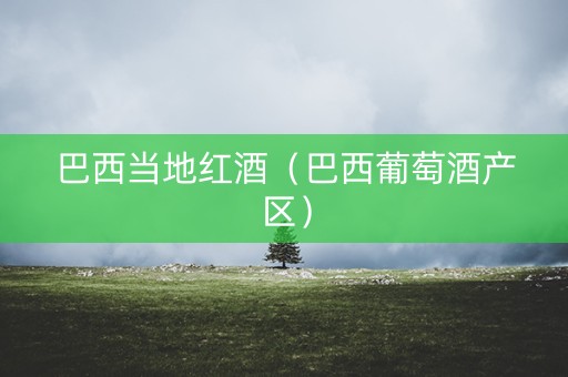 巴西当地红酒（巴西葡萄酒产区）