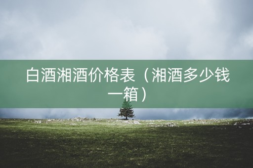 白酒湘酒价格表（湘酒多少钱一箱）