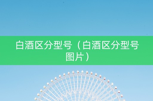 白酒区分型号（白酒区分型号图片）
