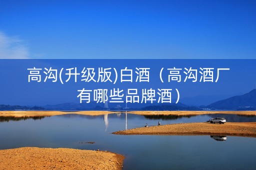 高沟(升级版)白酒（高沟酒厂有哪些品牌酒）