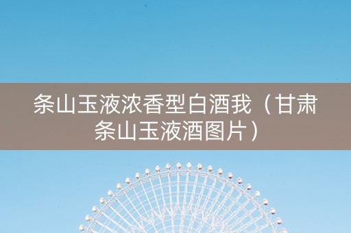 条山玉液浓香型白酒我（甘肃条山玉液酒图片）
