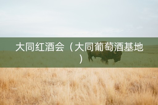 大同红酒会（大同葡萄酒基地）