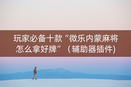 玩家必备十款“微乐内蒙麻将怎么拿好牌”（辅助器插件)
