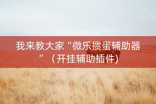 我来教大家“微乐掼蛋辅助器”（开挂辅助插件)