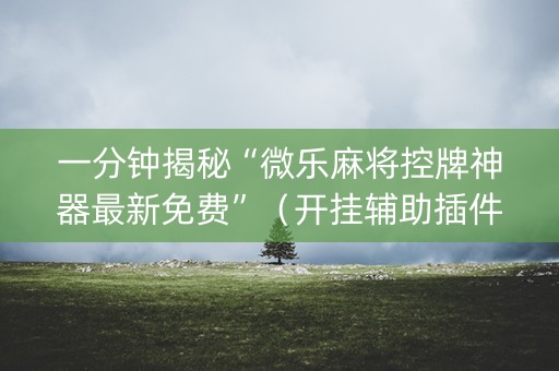 一分钟揭秘“微乐麻将控牌神器最新免费”（开挂辅助插件)