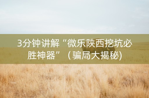 3分钟讲解“微乐陕西挖坑必胜神器”（骗局大揭秘)