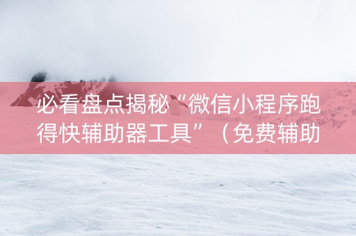 必看盘点揭秘“微信小程序跑得快辅助器工具”（免费辅助)