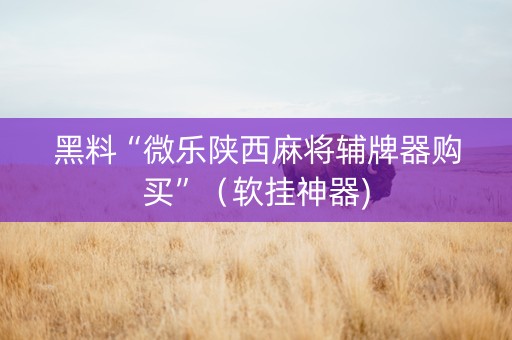 黑料“微乐陕西麻将辅牌器购买”（软挂神器)