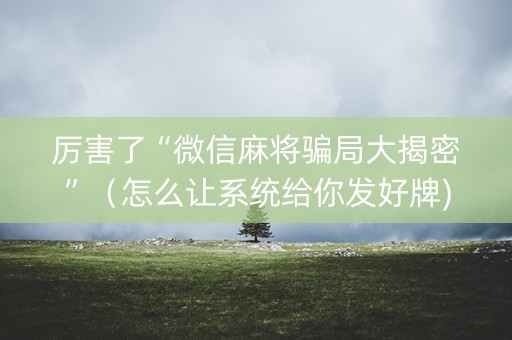 厉害了“微信麻将骗局大揭密”（怎么让系统给你发好牌)