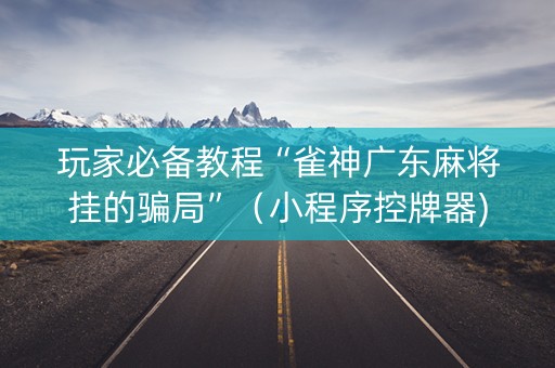 玩家必备教程“雀神广东麻将挂的骗局”（小程序控牌器)