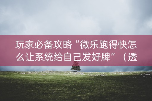 玩家必备攻略“微乐跑得快怎么让系统给自己发好牌”（透明挂辅助器)