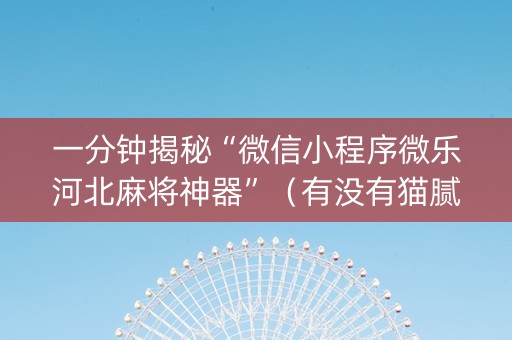 一分钟揭秘“微信小程序微乐河北麻将神器”（有没有猫腻)