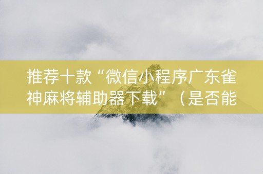 推荐十款“微信小程序广东雀神麻将辅助器下载”（是否能开挂)
