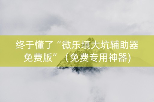 终于懂了“微乐填大坑辅助器免费版”（免费专用神器)