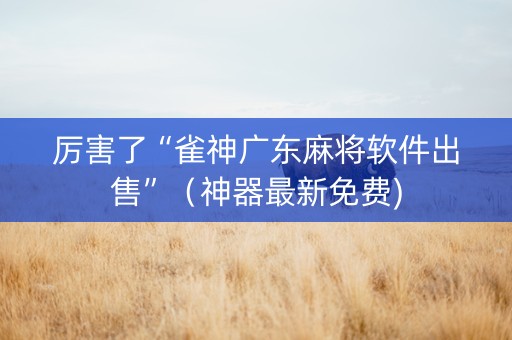 厉害了“雀神广东麻将软件出售”（神器最新免费)