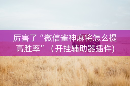 厉害了“微信雀神麻将怎么提高胜率”（开挂辅助器插件)