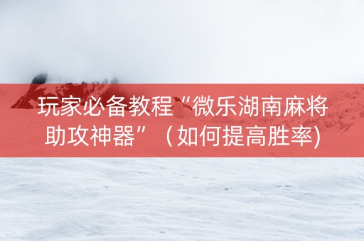 玩家必备教程“微乐湖南麻将助攻神器”（如何提高胜率)