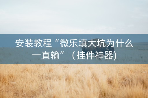 安装教程“微乐填大坑为什么一直输”（挂件神器)