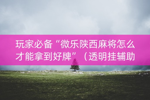 玩家必备“微乐陕西麻将怎么才能拿到好牌”（透明挂辅助器)