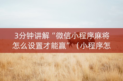 3分钟讲解“微信小程序麻将怎么设置才能赢”（小程序怎么才会赢)