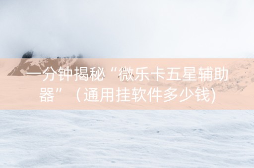 一分钟揭秘“微乐卡五星辅助器”（通用挂软件多少钱)