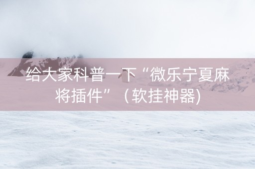 给大家科普一下“微乐宁夏麻将插件”（软挂神器)