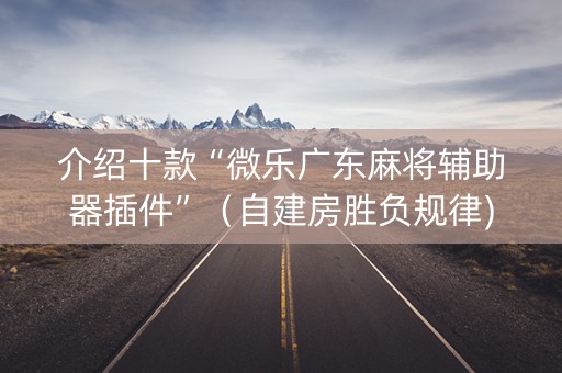 介绍十款“微乐广东麻将辅助器插件”（自建房胜负规律)