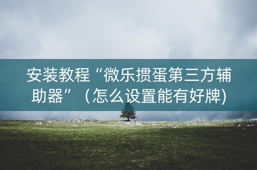 安装教程“微乐掼蛋第三方辅助器”（怎么设置能有好牌)