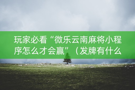 玩家必看“微乐云南麻将小程序怎么才会赢”（发牌有什么规律吗)