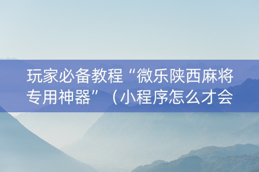 玩家必备教程“微乐陕西麻将专用神器”（小程序怎么才会赢)