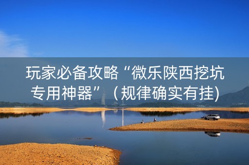 玩家必备攻略“微乐陕西挖坑专用神器”（规律确实有挂)