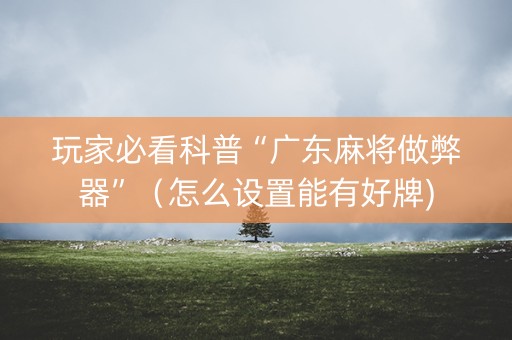 玩家必看科普“广东麻将做弊器”（怎么设置能有好牌)
