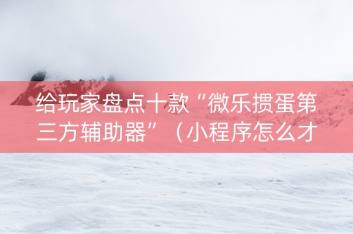 给玩家盘点十款“微乐掼蛋第三方辅助器”（小程序怎么才会赢)