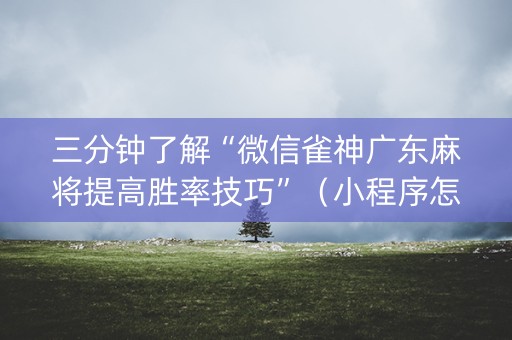 三分钟了解“微信雀神广东麻将提高胜率技巧”（小程序怎么才会赢)