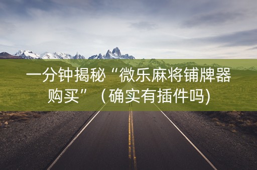 一分钟揭秘“微乐麻将铺牌器购买”（确实有插件吗)