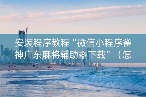 安装程序教程“微信小程序雀神广东麻将辅助器下载”（怎么能让牌好一点)