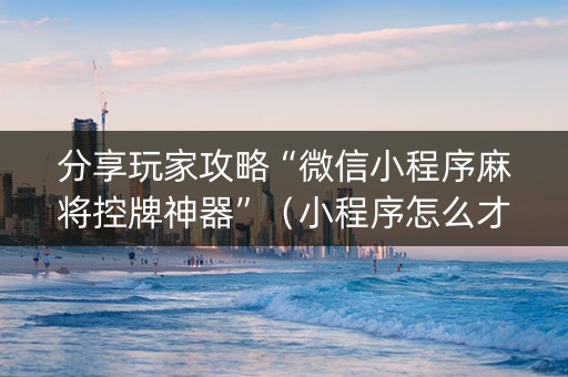 分享玩家攻略“微信小程序麻将控牌神器”（小程序怎么才会赢)
