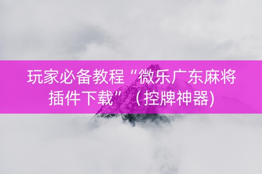 玩家必备教程“微乐广东麻将插件下载”（控牌神器)