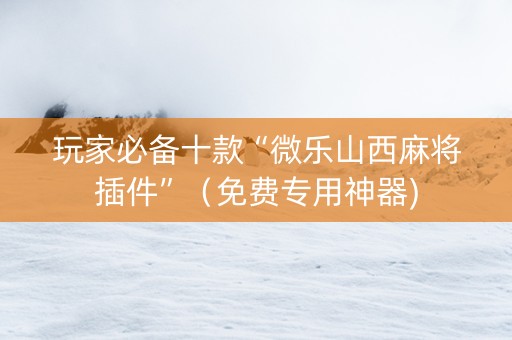 玩家必备十款“微乐山西麻将插件”（免费专用神器)