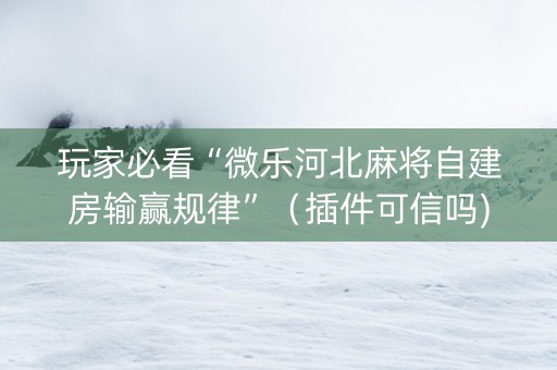 玩家必看“微乐河北麻将自建房输赢规律”（插件可信吗)