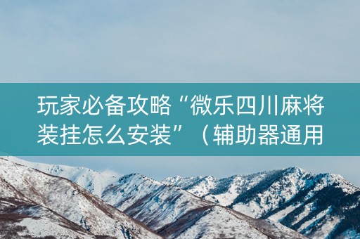 玩家必备攻略“微乐四川麻将装挂怎么安装”（辅助器通用版)