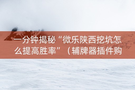一分钟揭秘“微乐陕西挖坑怎么提高胜率”（辅牌器插件购买)