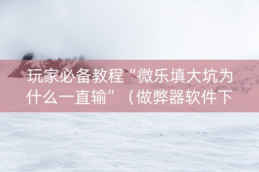 玩家必备教程“微乐填大坑为什么一直输”（做弊器软件下载)