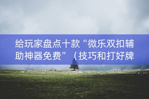 给玩家盘点十款“微乐双扣辅助神器免费”（技巧和打好牌方法)