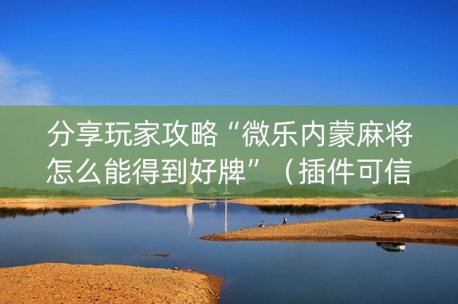 分享玩家攻略“微乐内蒙麻将怎么能得到好牌”（插件可信吗)