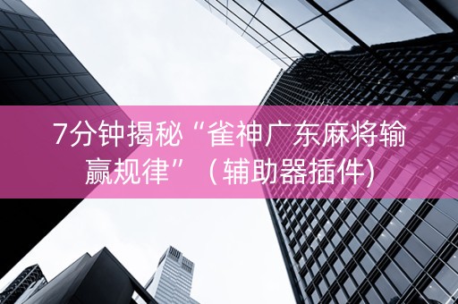 7分钟揭秘“雀神广东麻将输赢规律”（辅助器插件)