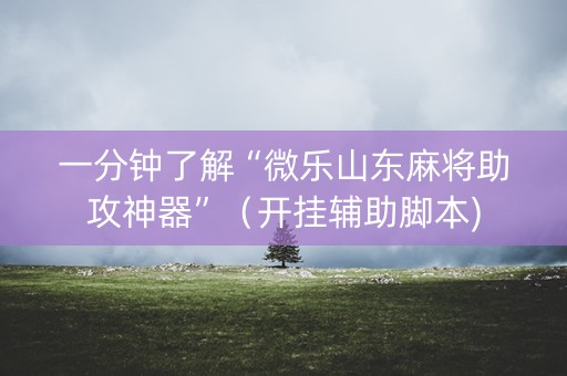 一分钟了解“微乐山东麻将助攻神器”（开挂辅助脚本)