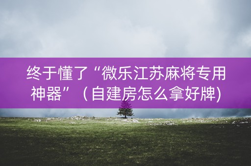 终于懂了“微乐江苏麻将专用神器”（自建房怎么拿好牌)