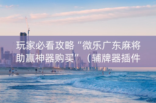 玩家必看攻略“微乐广东麻将助赢神器购买”（辅牌器插件购买)