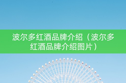 波尔多红酒品牌介绍（波尔多红酒品牌介绍图片）